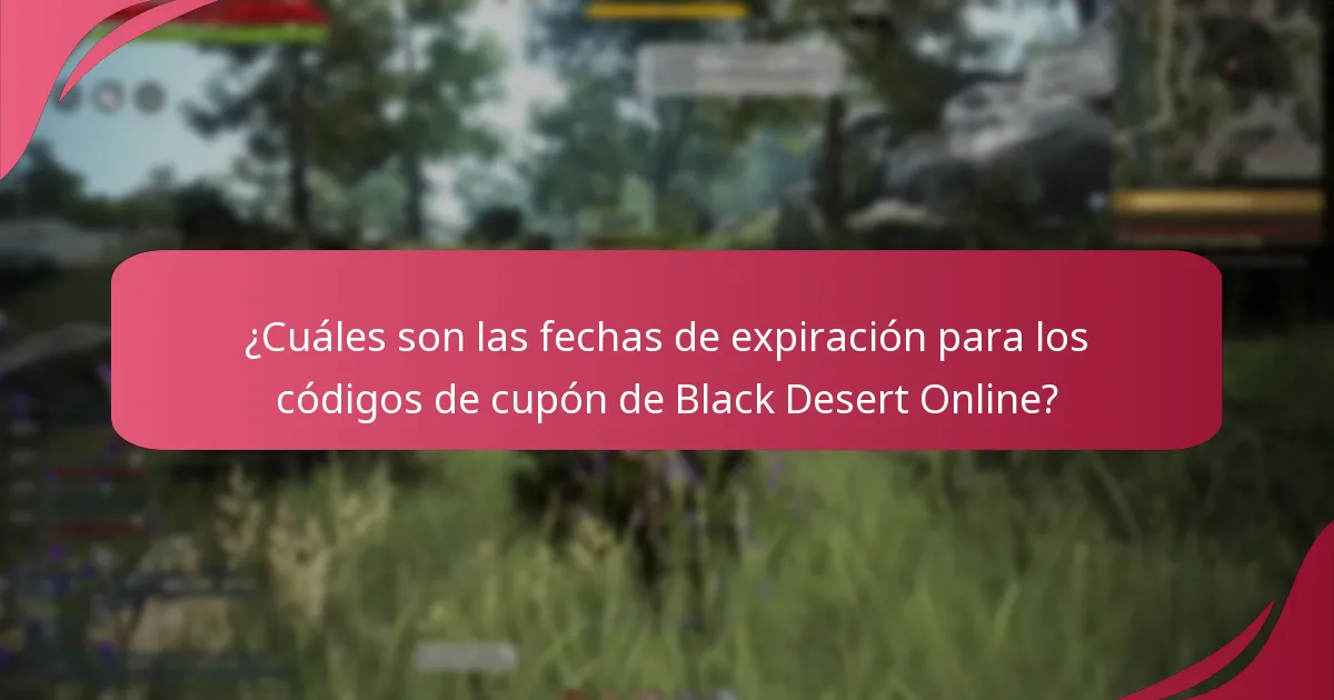 ¿A qué tipos de artículos se pueden aplicar los códigos de cupón de Black Desert Online?